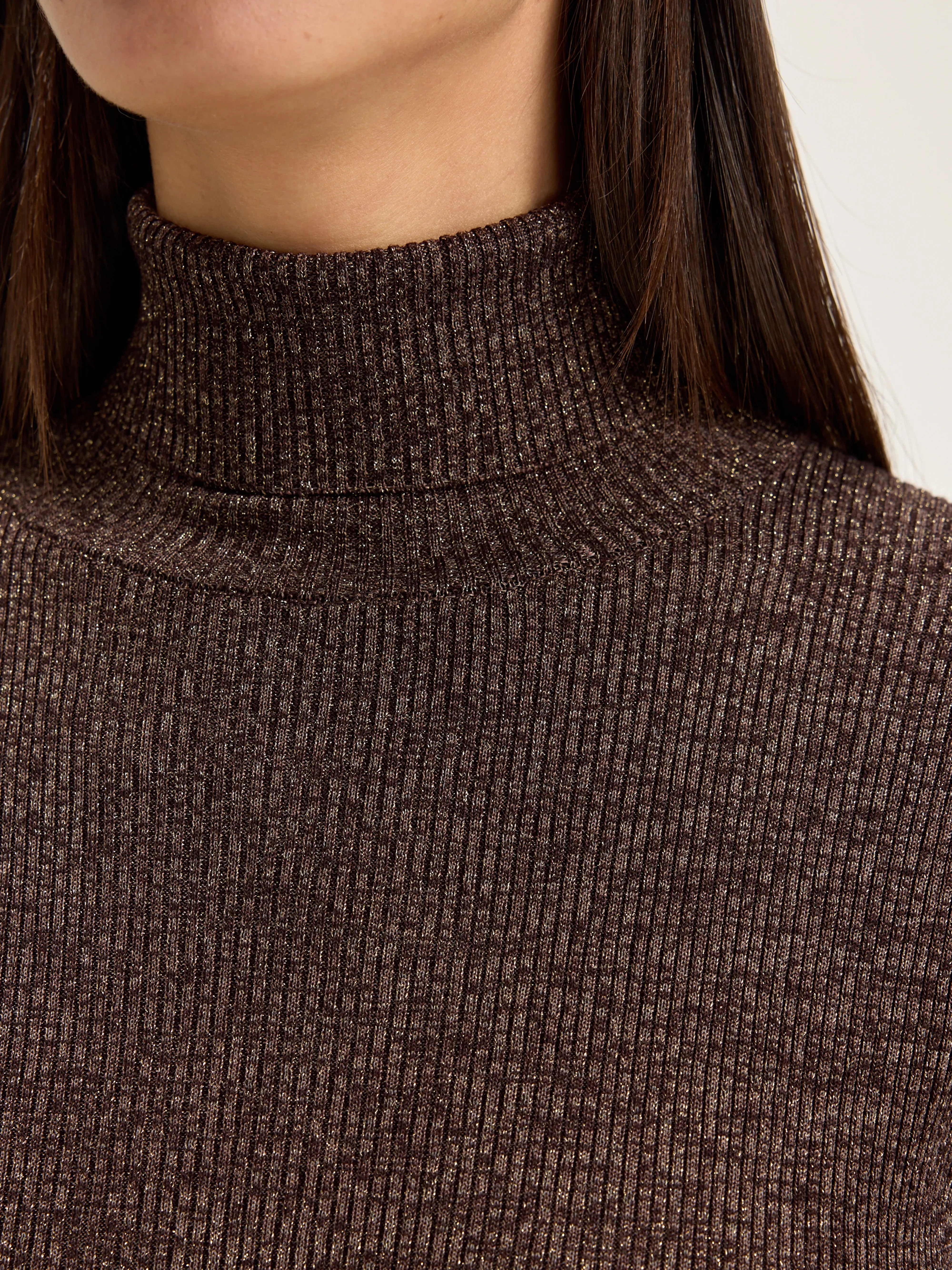 Anoit turtleneck sweater (242 / W / CHESTNUT)