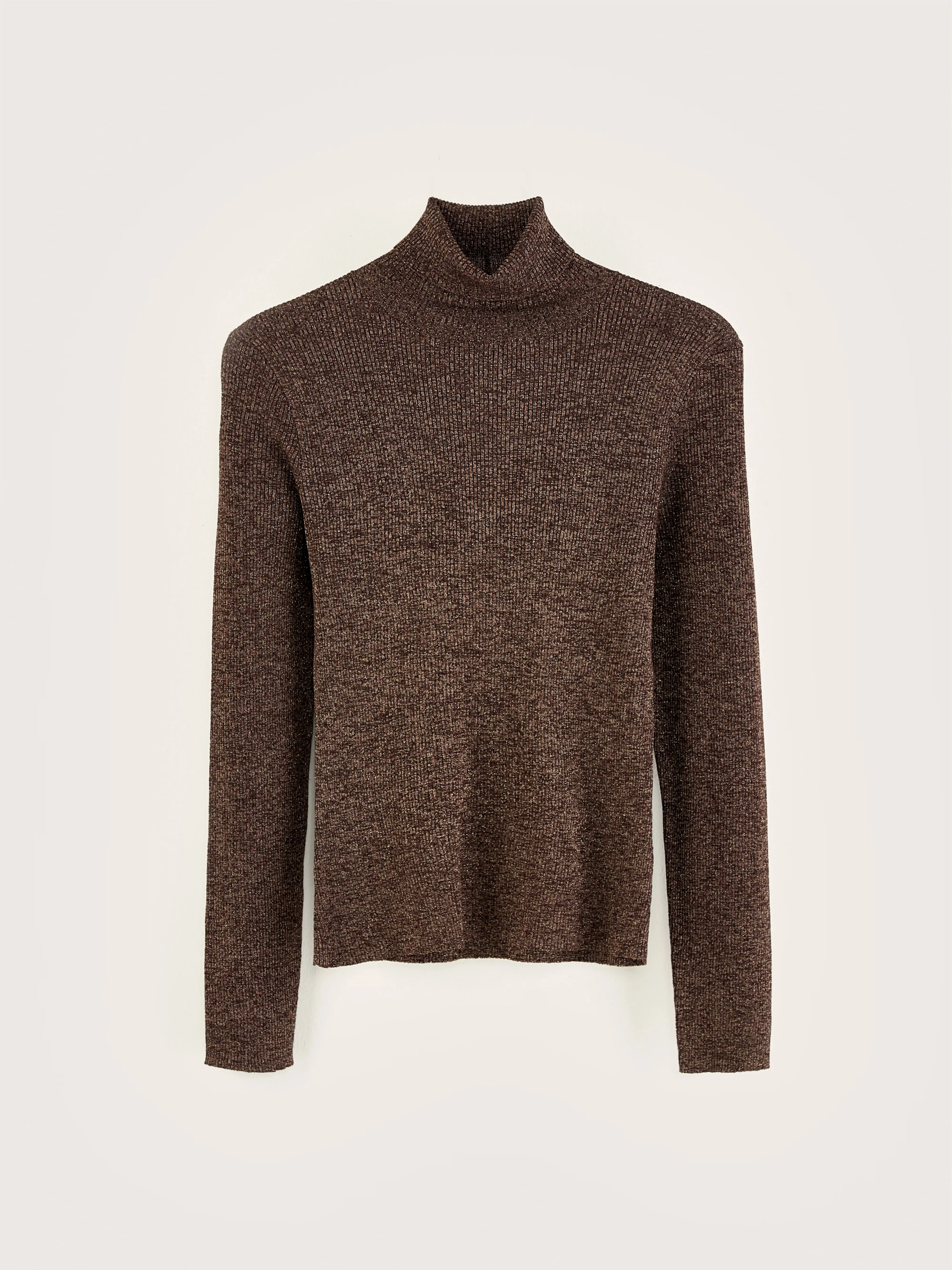 Anoit turtleneck sweater (242 / W / CHESTNUT)