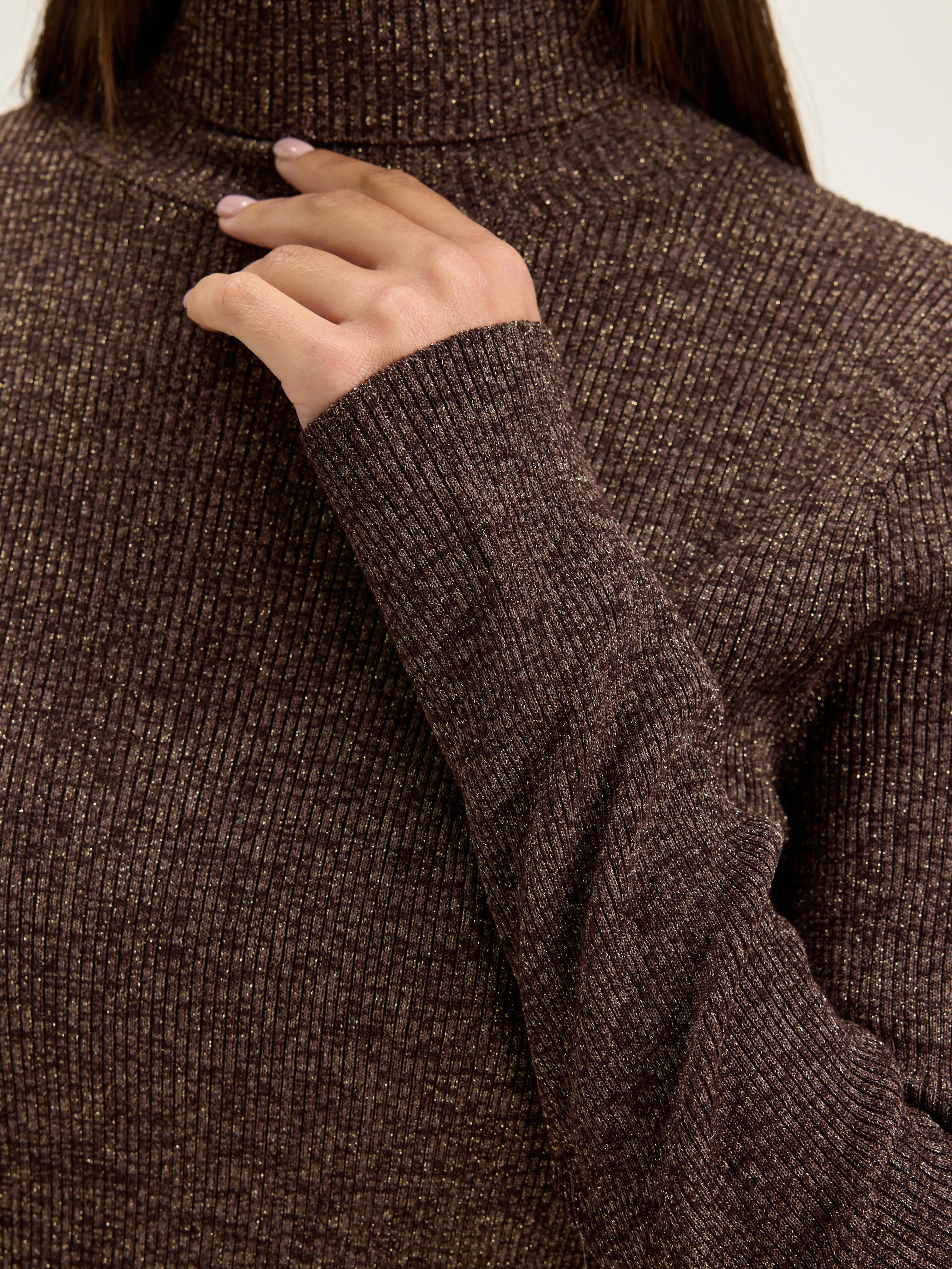 Anoit turtleneck sweater (242 / W / CHESTNUT)