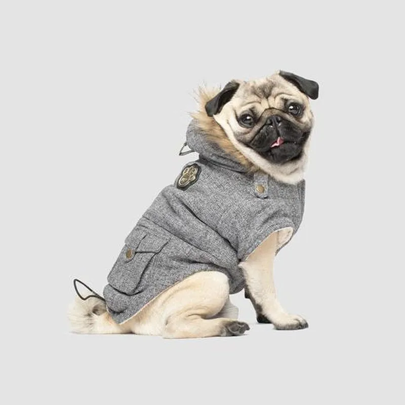 Canada Pooch Alaskan Army Parka Salt & Pepper