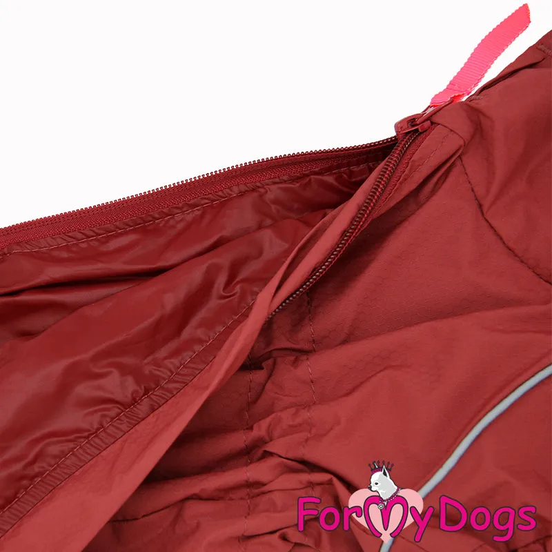 Dachshund Earth Wind Rain Suit For Girls SPECIAL ORDER