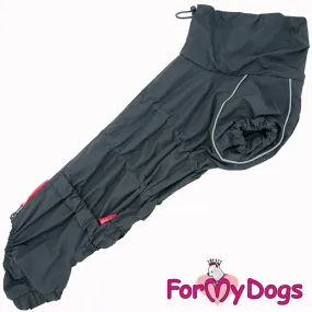 Dachshund Gracious Grey Rain Suit For Boys SPECIAL ORDER