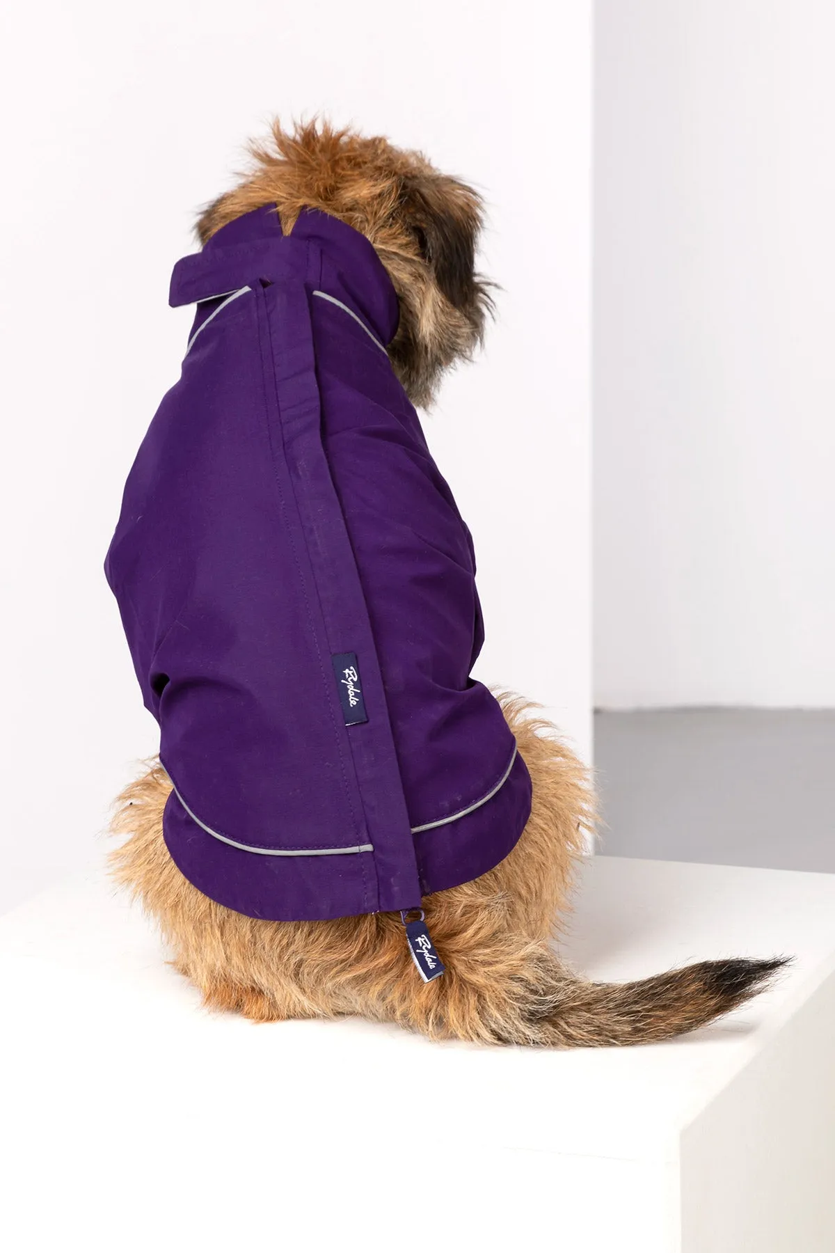 Dog Raincoats - Yapham