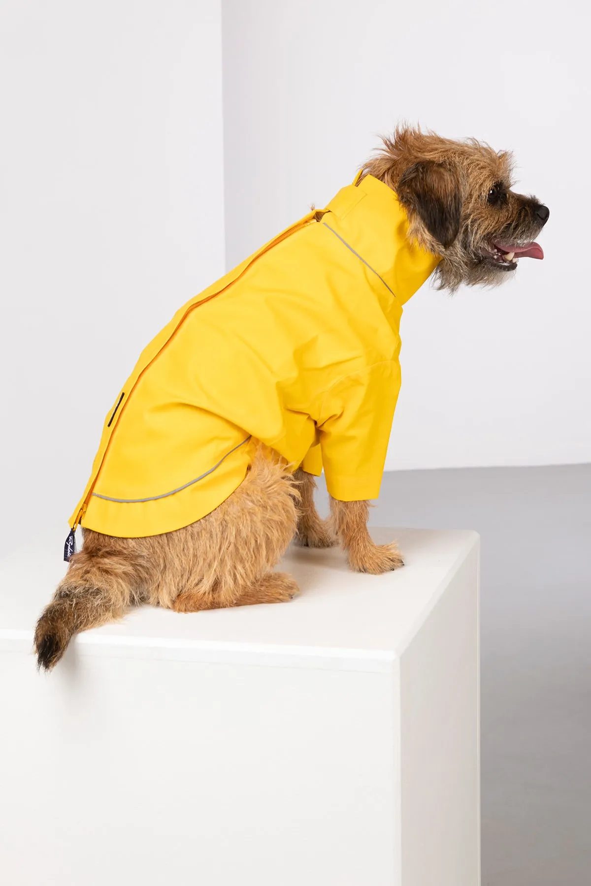 Dog Raincoats - Yapham