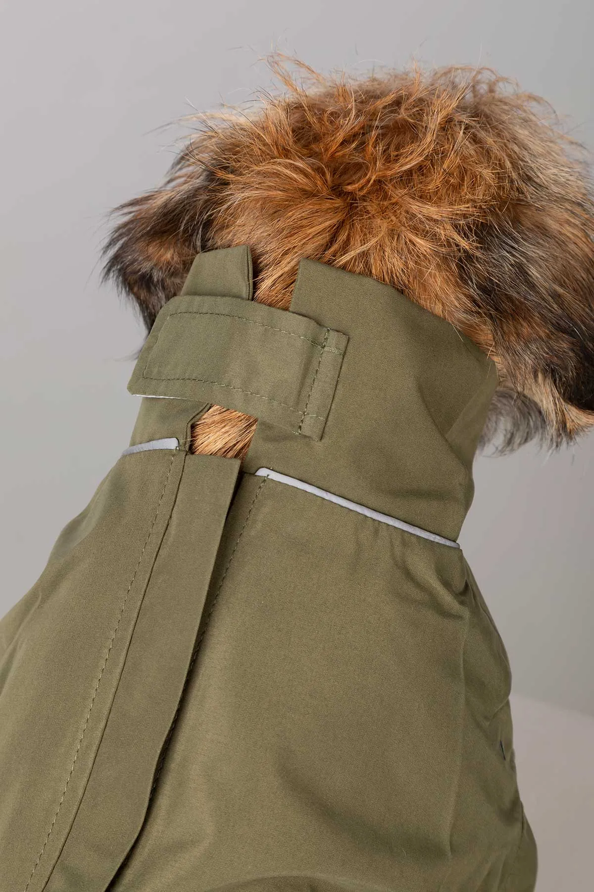 Dog Raincoats - Yapham