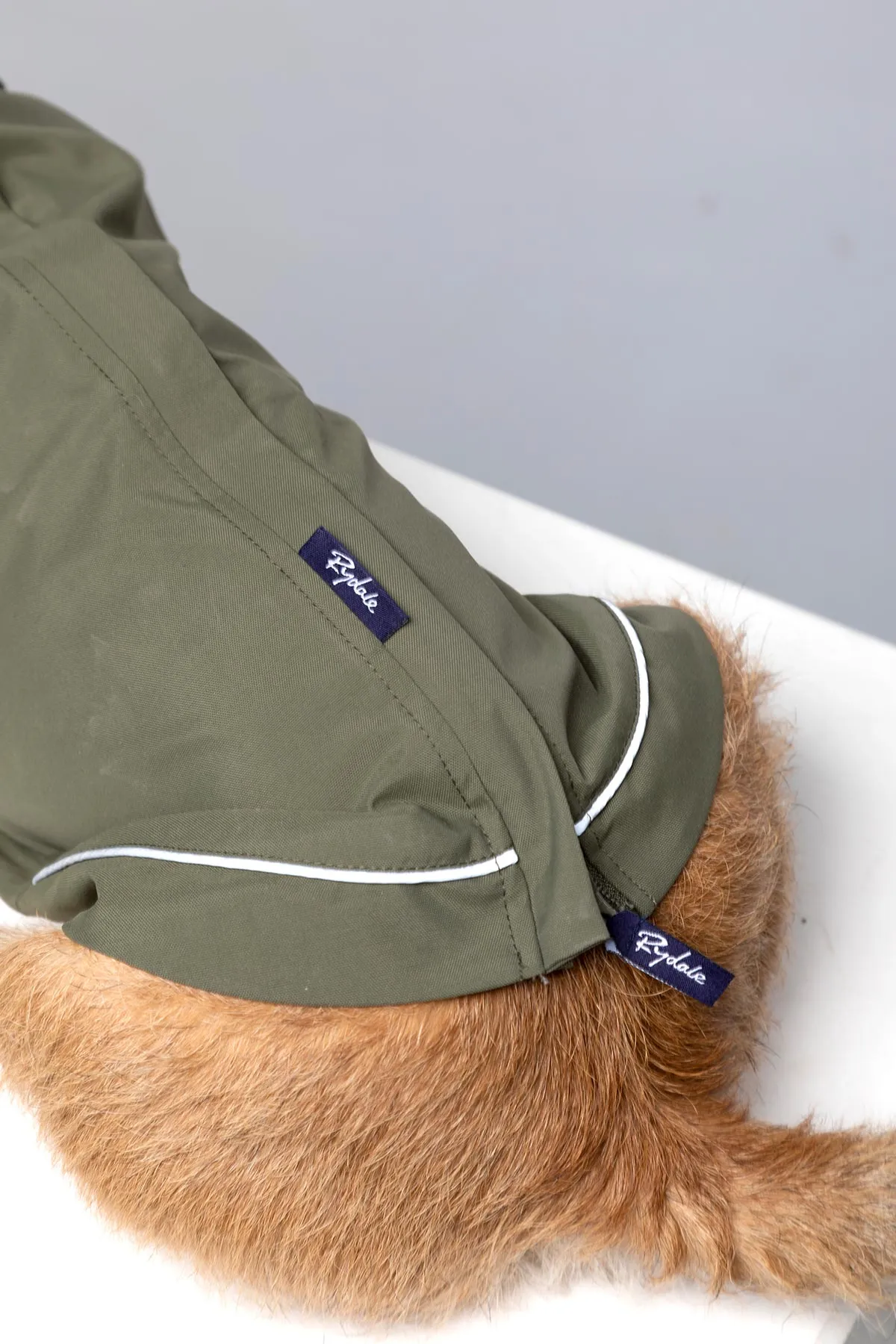 Dog Raincoats - Yapham