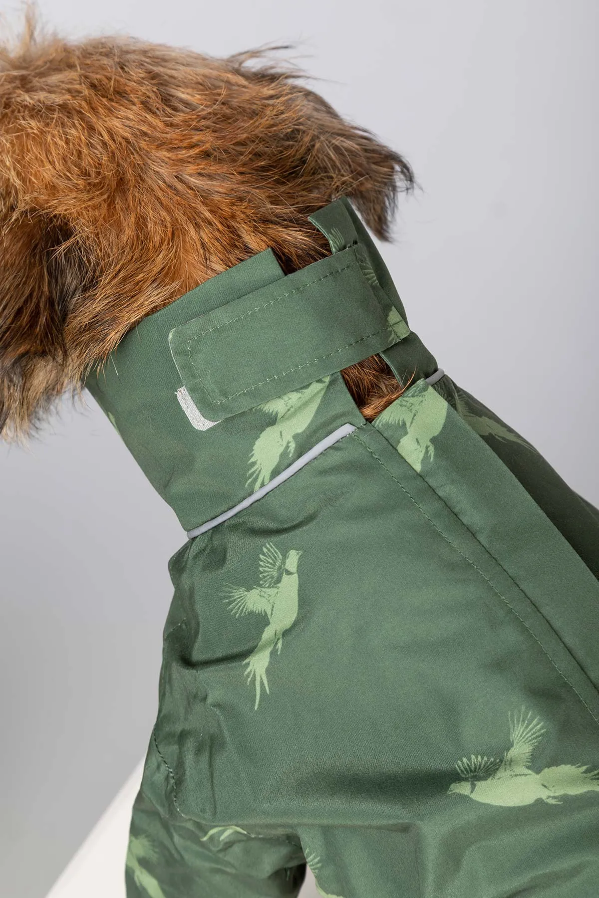 Dog Raincoats - Yapham