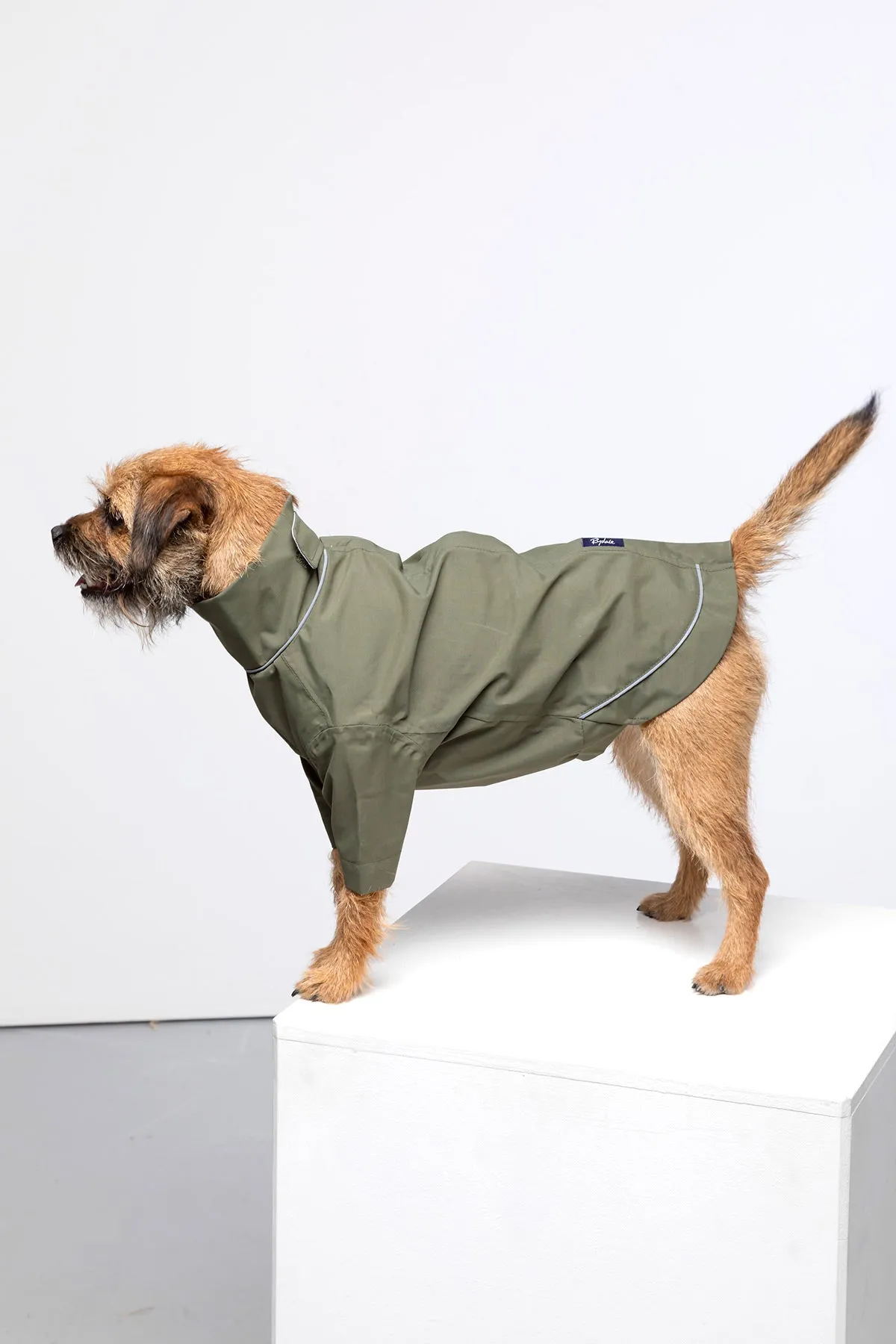 Dog Raincoats - Yapham