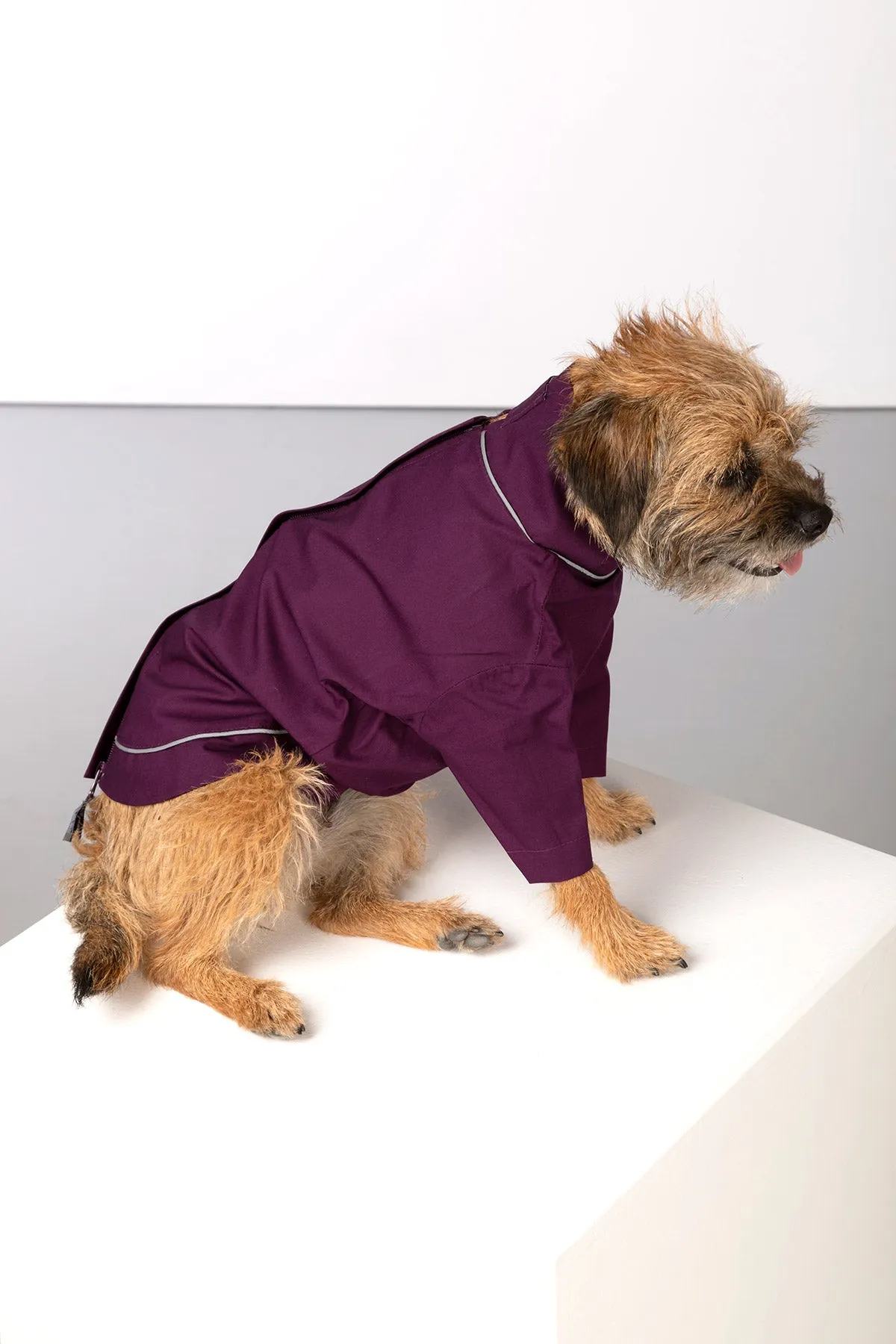 Dog Raincoats - Yapham