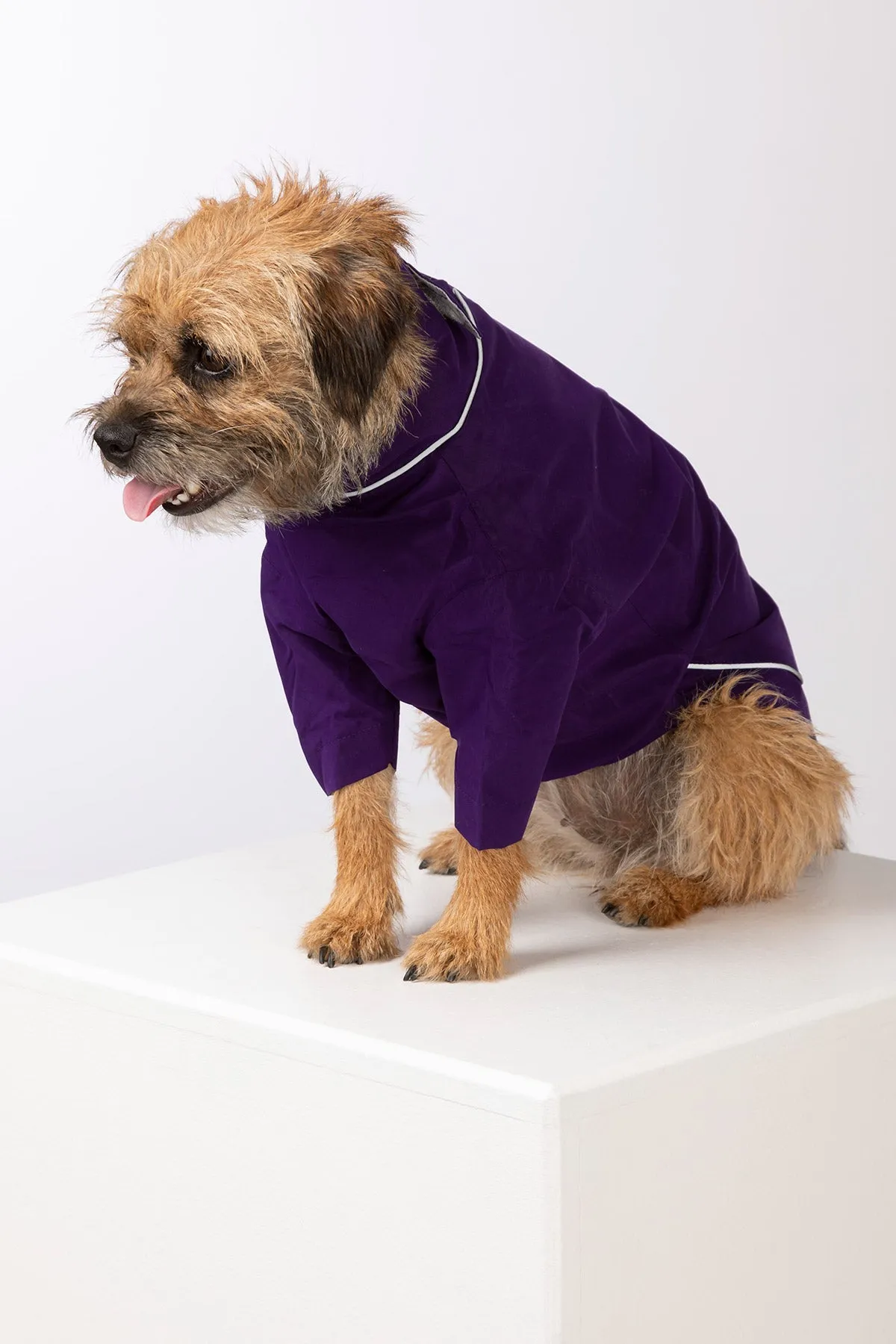 Dog Raincoats - Yapham