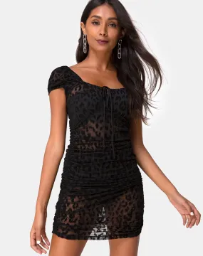 Guenetta Mini Dress in Animal Black Net