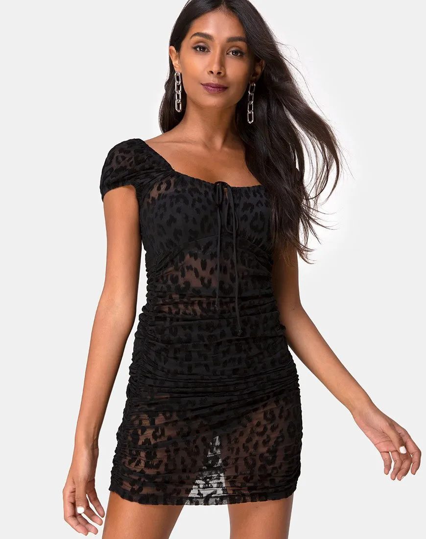 Guenetta Mini Dress in Animal Black Net