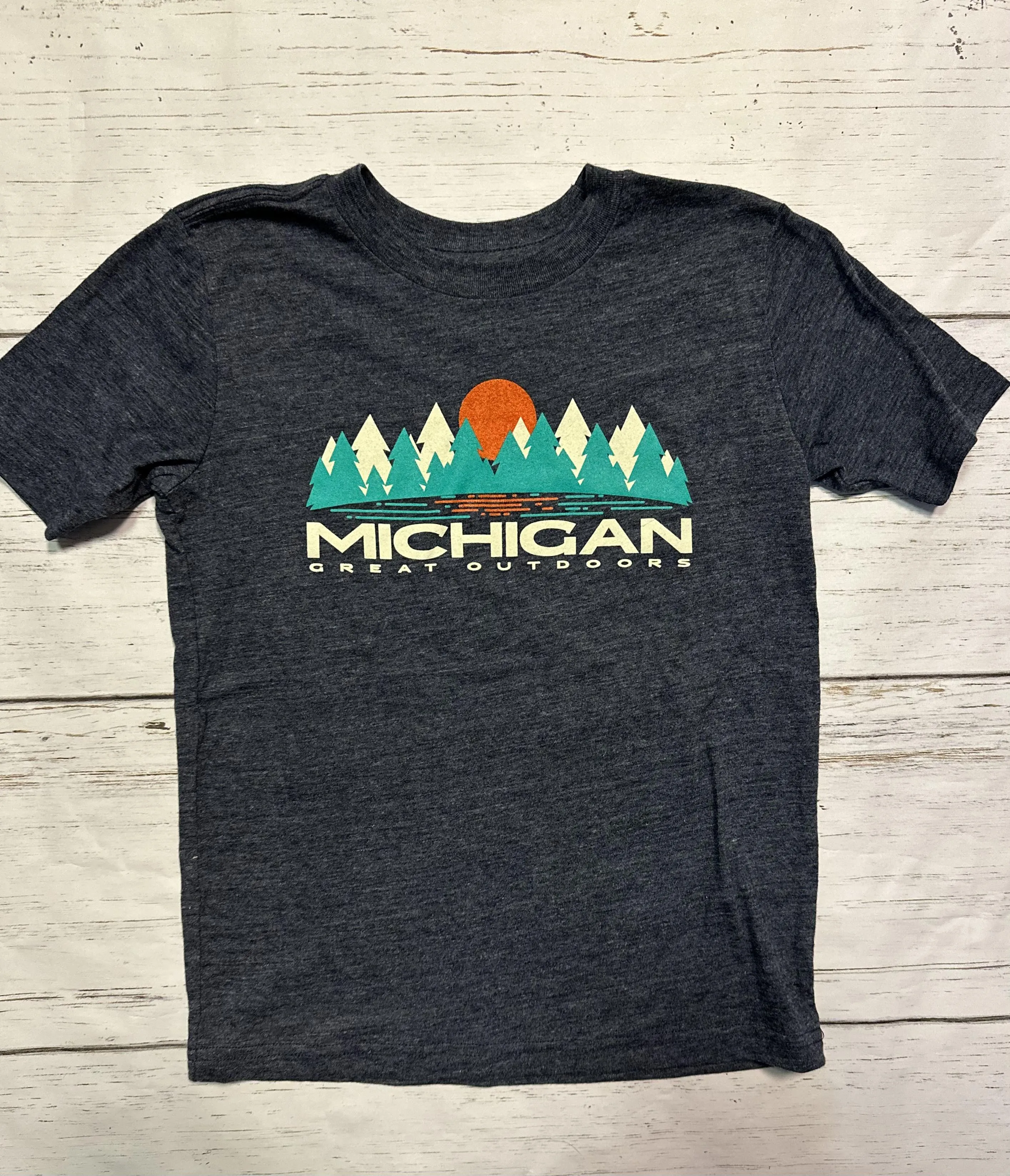 LS210 Frigid Lake Michigan Youth Navy Tee