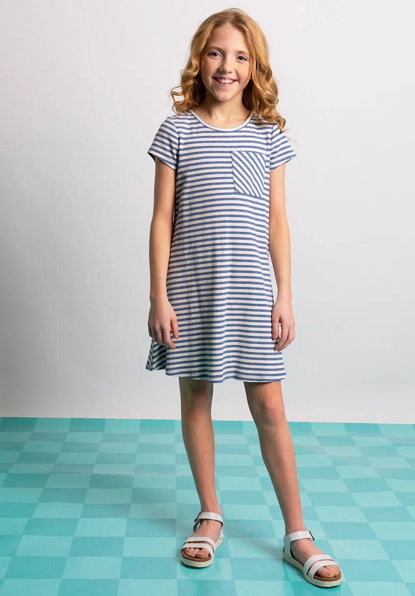 Stripe Swing Dress