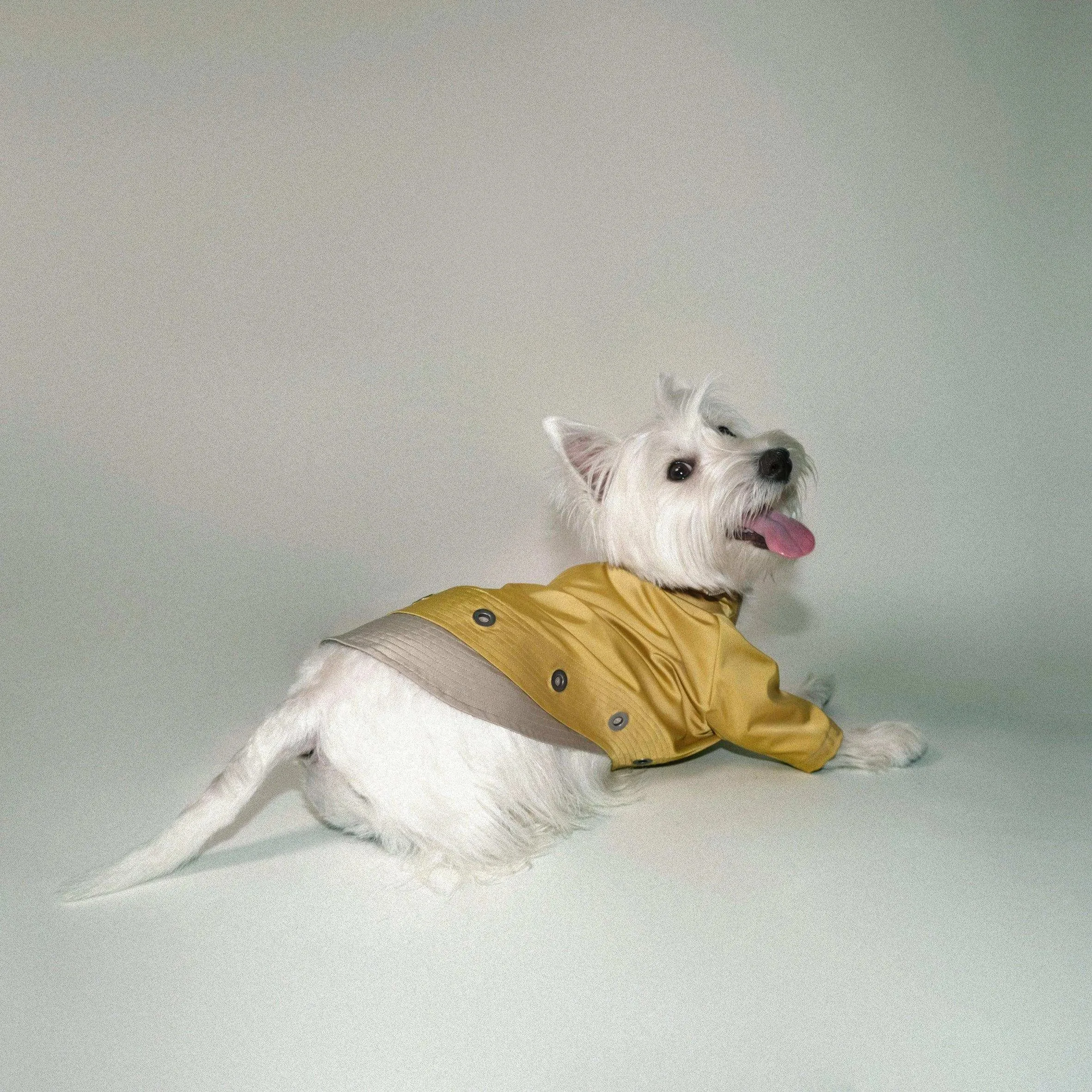 Torrential Tracker Waterproof Dog Coat